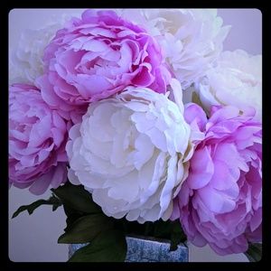 Internal notes for Posh Party